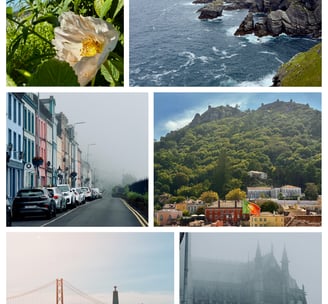 a collage of photos of a city with a bridge and a bridge