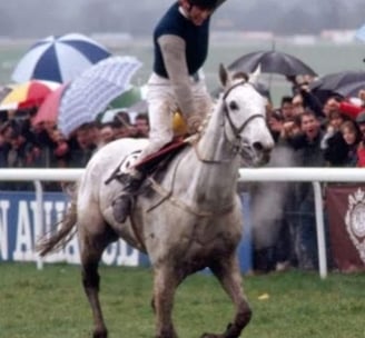 Desert Orchid WINS 1989 Cheltenham Gold Cup and I WAS THERE THAT DAY!