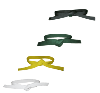 lean-six-sigma-karate-colour-belts