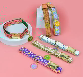 a dog collared collared collared dog collared collared collared collar