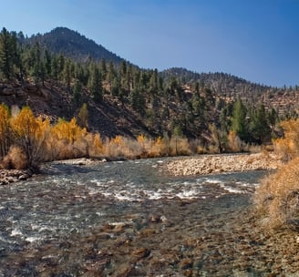 Walker River located in the Walker River Basin in Nevada
