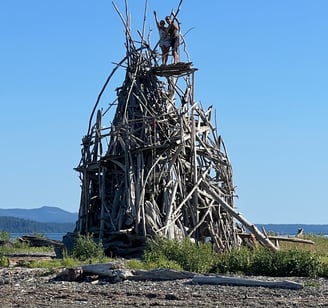 unique driftwood structure