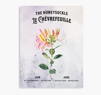 chevrefeuille