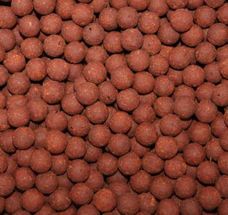 Boiliai karpiams