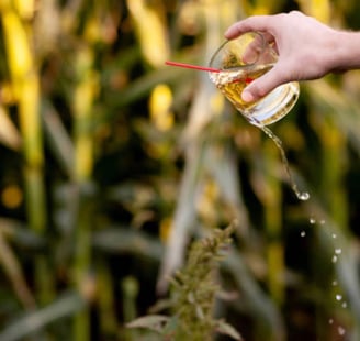 libation ritual - the act of pouring a drink for the deceased