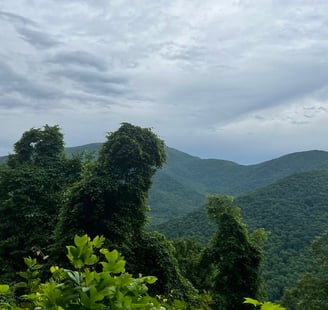 a mountain view of a mountain range with trees and mountains in the background