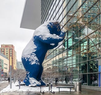 A big blue bear, curiosity