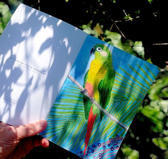 Coleção Aves Daqui - livros de colorir para adultos e crianças.