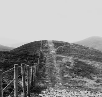 A picture to show boundary by Sylwia Bartyzel on Unsplash