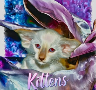Metexa Siamese & Oriental kittens