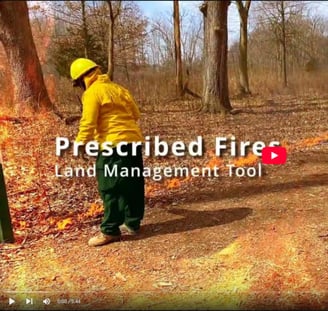 Watch Page: Wintergarden Prescribed Burns