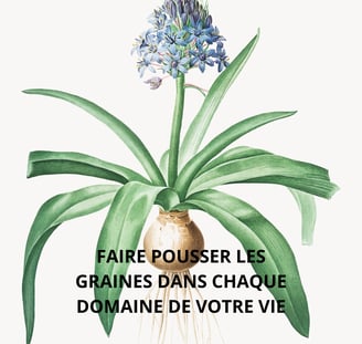bulbe avec une fleur violette qui pousse, faire pousser les graines avec la sophrologie