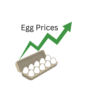 egg prices