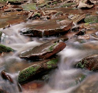 Beware Slippery Rocks