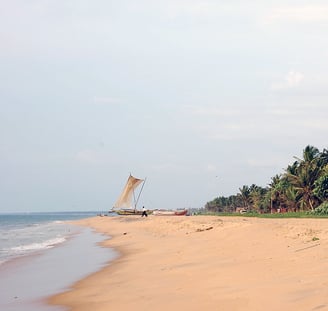 Negombo Beach