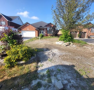 house with unkempt front yard