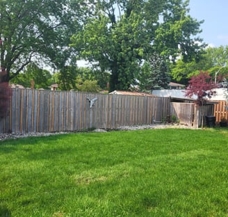 backyard with fresh sod after pool removal