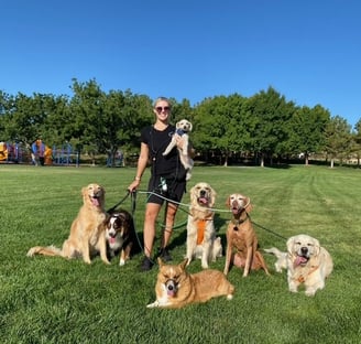 pack walk, dog walk, dog walkers, dog walking, dog walkers of las vegas