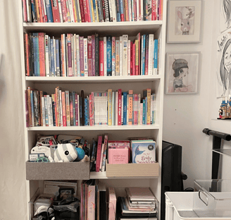 Organized children’s bookshelf with colorful books, soft toys, and labeled storage bins.