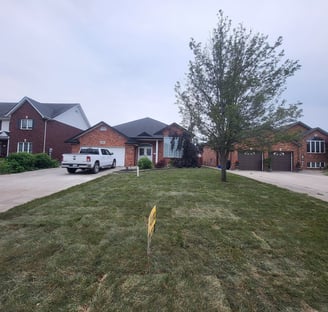 house with fresh sod