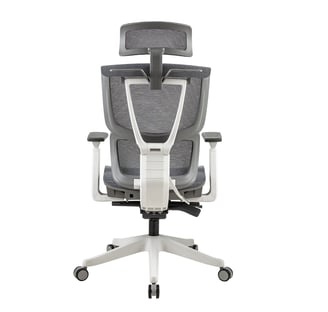 ergomesh v2 the best ergonomic chair in Pakistan