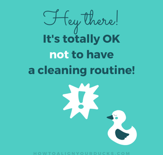 It's totally OK NOT to have a cleaning routine!