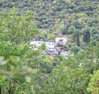 Traditional Houses in Zagori