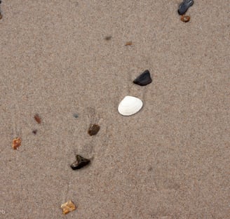 Sandy beach stones