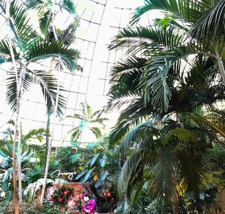 Atrium in the Mirage hotel Las Vegas