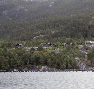 green roof houses along the fjord