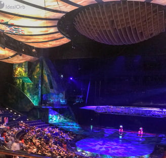 Circus Show in Las Vegas