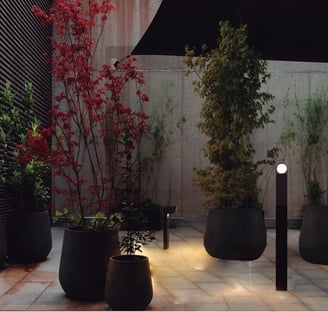 jardín nocturno iluminado