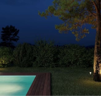 fotografía jardín de noche