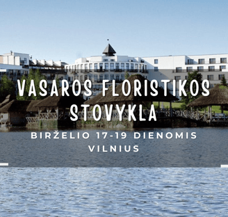 Floristikos kursai Vilniuje