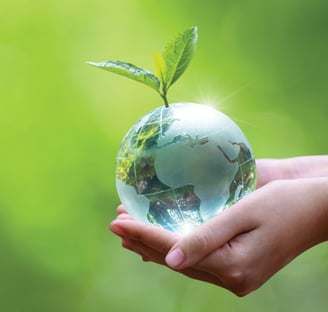 Picture of Globe in hand