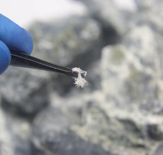 Asbestos Fibres Under Inspection