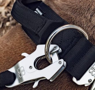 Ergonomiški BullyBilows pavadėliai. Itin aukštos kokybės.