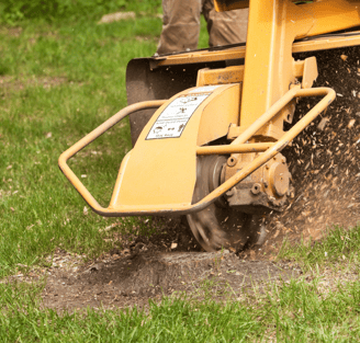 stump grinder