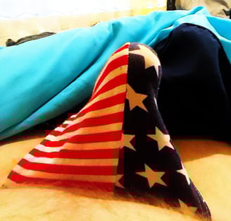 an erect penis in US flag underwear