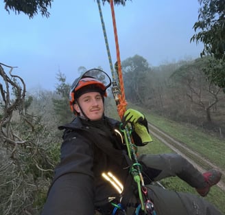 tree cut services at work