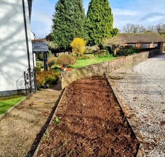 hedge removal service devon