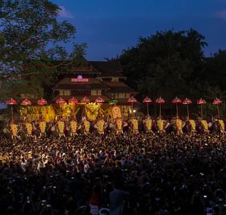 Thekkinkadu Maidanam at Thrissur every year celebrates the world-renowned Thrissur pooram, arguably the most famous festival.