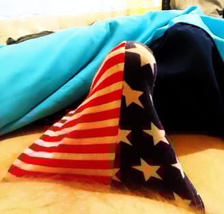 an erect penis in US flag underwear