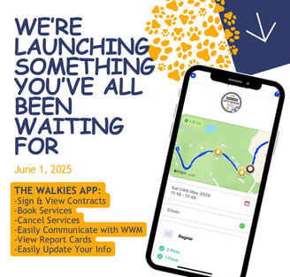 app announcement instagram post