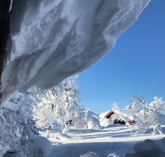 a person standing in the snow with a snowboard