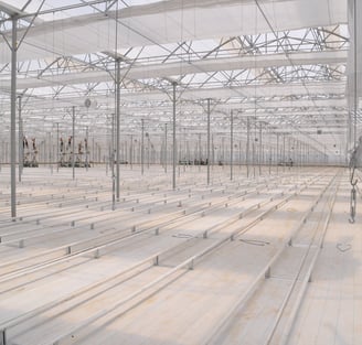 Greenhouse