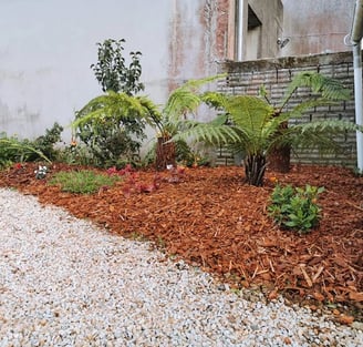 Plantation végétaux nord Finistère pepidirect