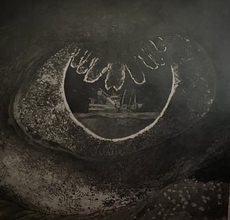 Oeil de raie