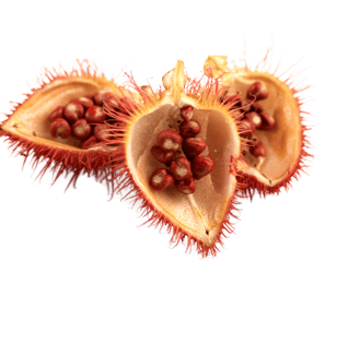 Annatto derived tocotrienol and geranylgeraniol GG