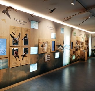 Ausstellung Nationalparkhaus Hiddensee
